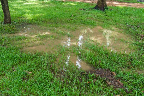 Cost of Storm Water Drainage Service in Rocky Mount