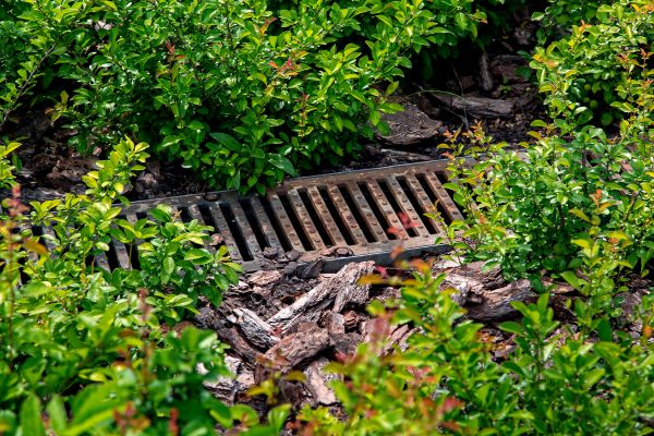 Cost of Underground Drainage Service in Rocky Mount