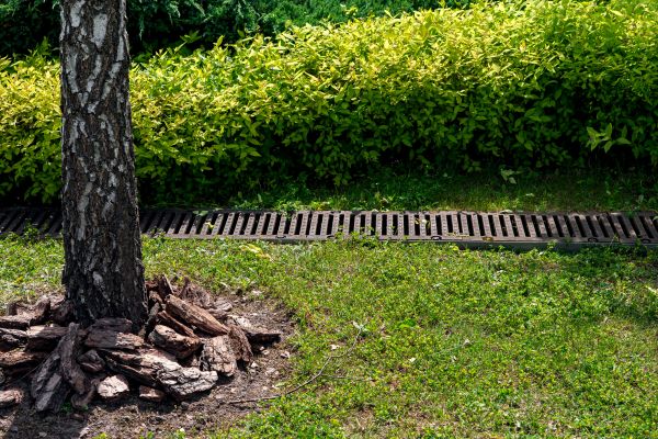 Cost of Yard Water Redirection in Rocky Mount