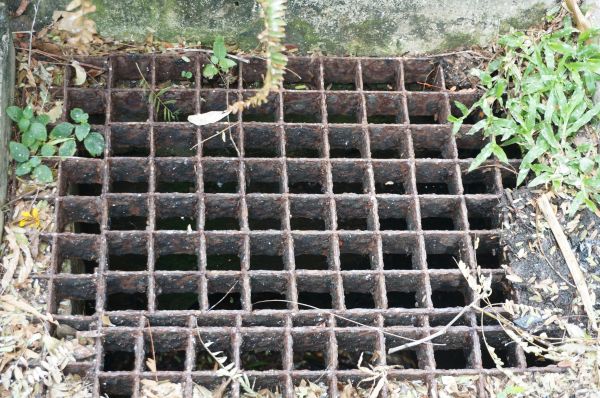 Cost of Yard Drain Cleaning in Rocky Mount
