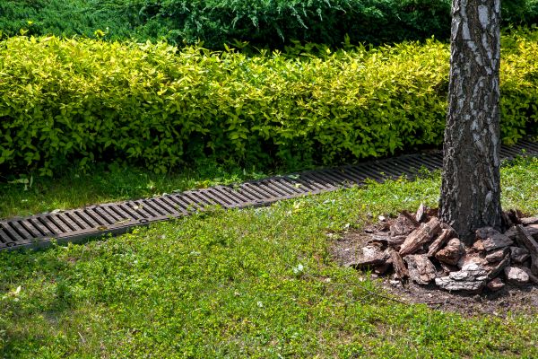 Cost of Residential Landscape Drainage in Rocky Mount