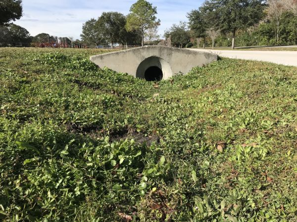 Cost of Swale Drainage Service in Rocky Mount